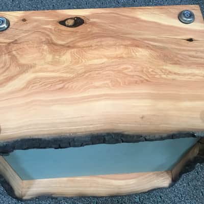 Fender Custom Shop Forest Fire Juniper '57 Champ Guitar Amplifier - Only One Built image 6