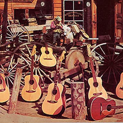 1969/1970 Fender Palomino "Johnny Cash" Broomstick w/ Ultra Rare Factory Soundhole Pickup image 15