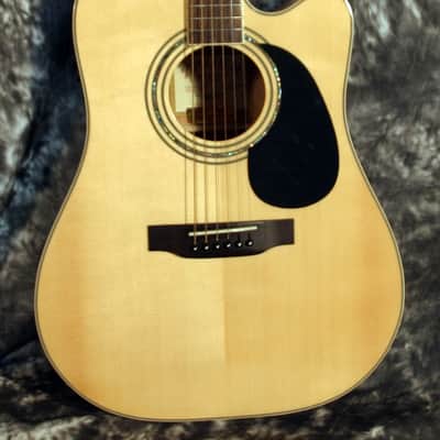 Zager EZ-Play ZAD50CE Acoustic Electric image 1