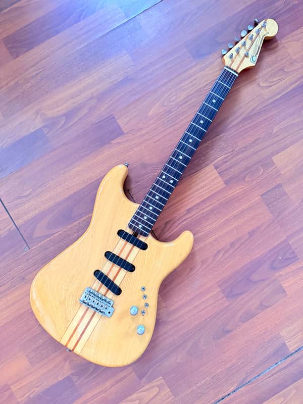 Fernandes MA-55 1970 - Natural image 1