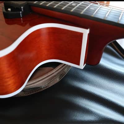 Godin 5th Avenue Uptown Custom - Havana Burst kg 2,75 image 7