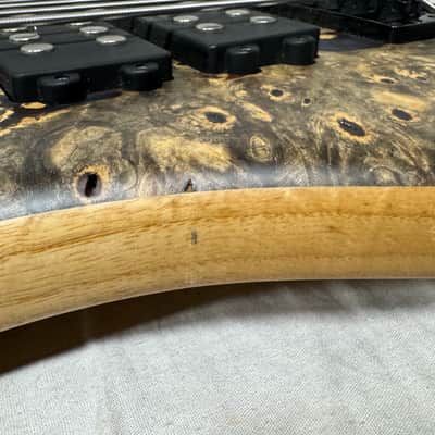 Warwick Limited Edition #39 of 100 Teambuilt Corvette $$ Double Buck 5-String Bass 2019 - Natural Transparent Satin Multicolor image 20