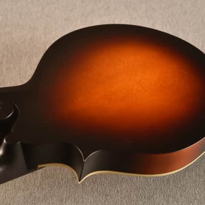Eastman MD315E-SB Electric F Style Mandolin K&K Duotone image 9