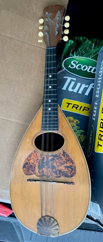 Unbranded Bowl Back Mandolin Early 1900's "For Repair" image 1