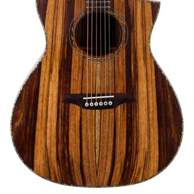 Bromo BAR 4GCE All-Solid Acoustic / Electric Guitar image 1