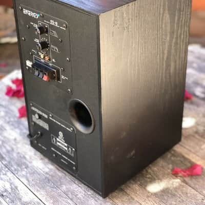 Energy ES-8 SUBWOOFER 8" Woofer 100 W/RM Energy ES-8 SUBWOOFER 8" Woofer 100 W/RMS Bass Reflex Made In Canada. Tested!! image 3