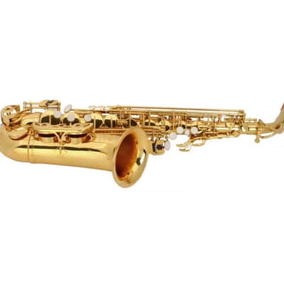 Ktaxon Saxophone Eb Sax Alto E Flat Brass with Mouthpiece & Accessories image 3