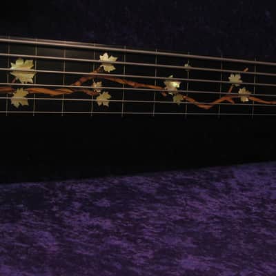 Drake Custom 6 string Fretless  2017 - gloss poly image 10