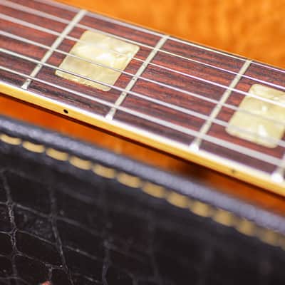 Ampeg Heavy Stud GEH 150 | Burgundy image 11