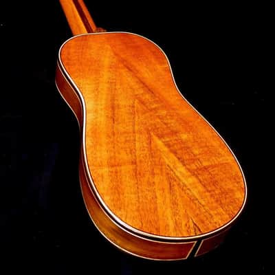 Blueberry Handmade Acoustic Travel Guitar image 14