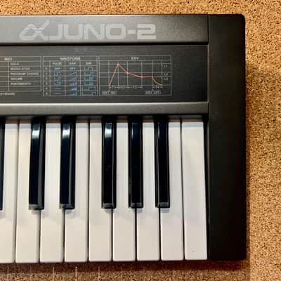Roland Alpha Juno-2 61-Key Programmable Polyphonic Synthesizer – Serviced – Warranty image 7