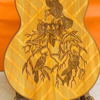 Blueberry NEW IN STOCK Classical Nylon String Guitar - Alaskan Spruce and Mahogany image 5