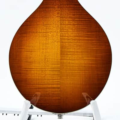 Eastman MD605 Goldburst image 4