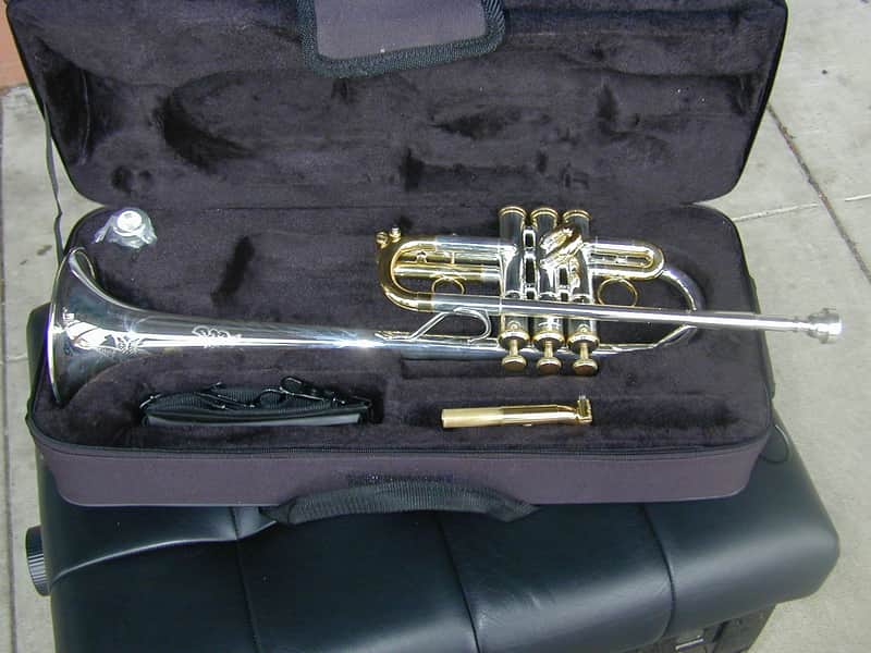 Berkeleywind C / Db Trumpet image 1
