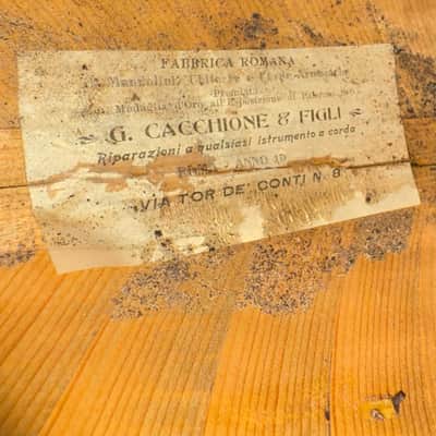 Concert Mandolin (Embergher School) G. Cacchione & Figli 1910s image 19