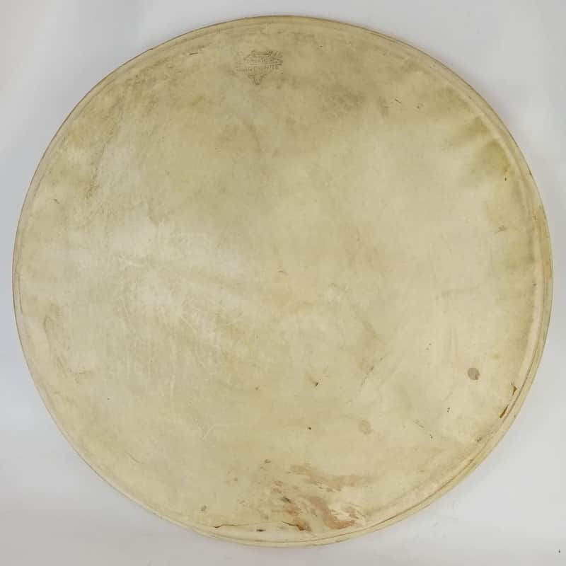 Leedy 18"Calf Skin Bass Drum/Floor Tom Head Maple Flesh Hoop Superior Hardwhite* image 1