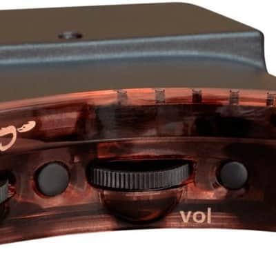 L.R. Baggs Session-VTC Undersaddle Acoustic Guitar Pickup System image 1