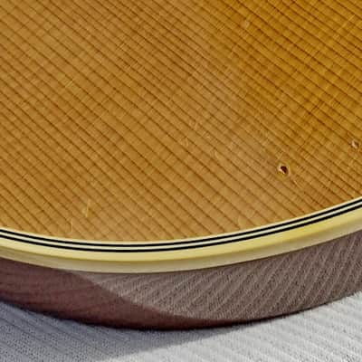 Gibson Chet Atkins SST 1993 image 20