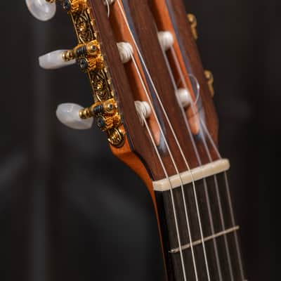 Chris Carrington Classical Guitar 366 2020 - Natural Gloss image 16
