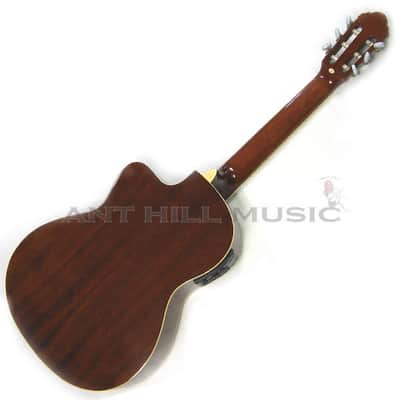 Tyler Mountain Acoustic Electric Classical Guitar TMC50CE image 2
