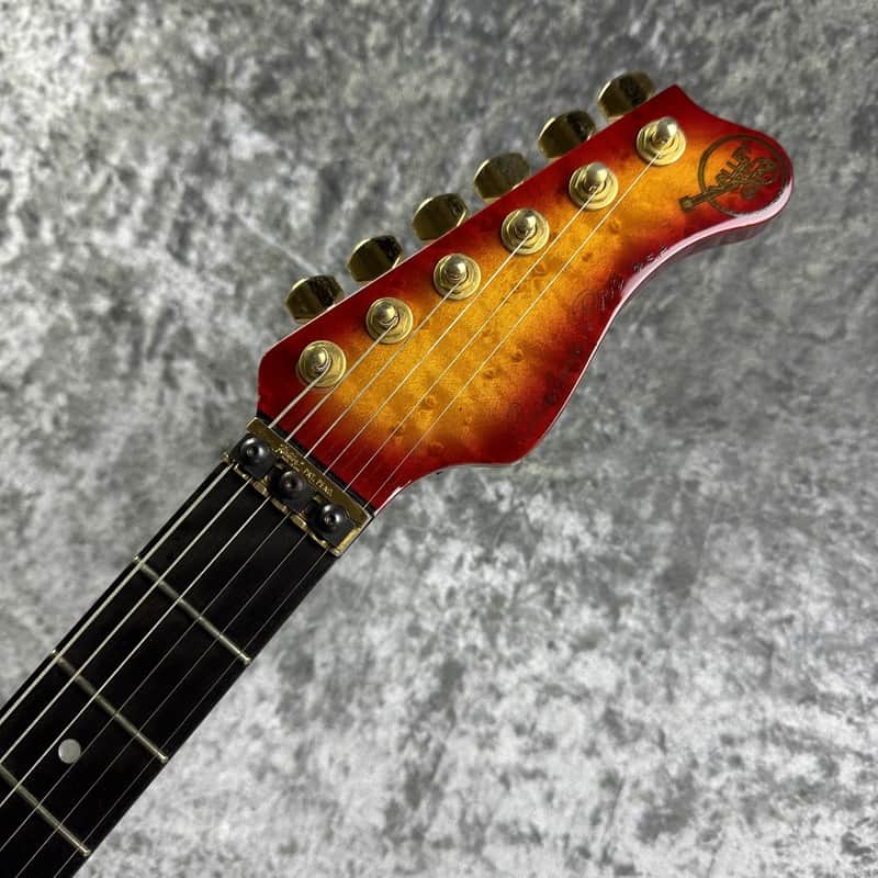 Valley Arts Custom Pro USA 1991 | Reverb