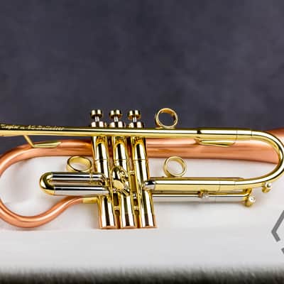 Taylor 46 Balladeer Bb trumpet / flugelhorn hybrid 2020, matte lacquer image 9