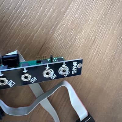 Make Noise Brains Sn# 102 Module black and gold eurorack image 2