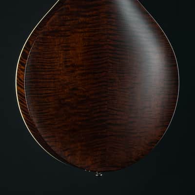 Collings MT Mandola Cream Gloss Top Adirondack Spruce and Flamed Maple NEW image 17