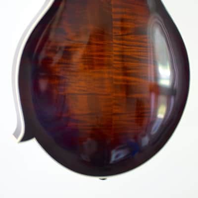 Kentucky KM805 Artist-F Vintage Amber Burst image 8