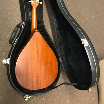1923 C. F. Martin A Style Mandolin image 4