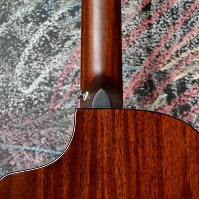Breedlove Discovery S Concert Edgeburst 12 String CE Sitka-African mahogany image 8