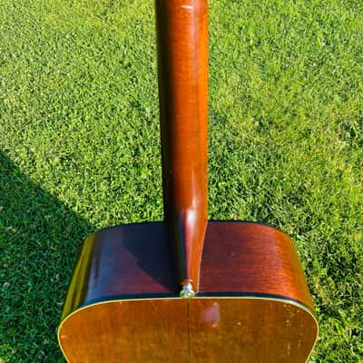 Martin D-19, 1979 image 7