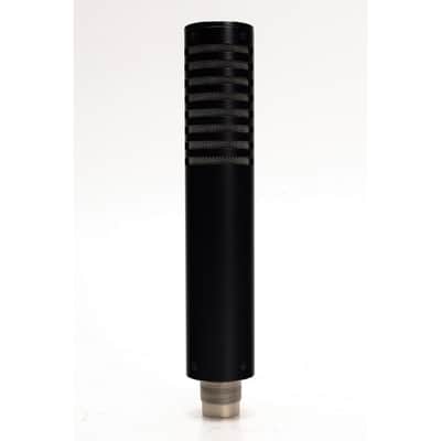 Royer R101 Ribbon Mic (Used) #1 image 6
