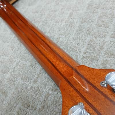 1995 Washburn D-68SW w/ Hard Shell Case image 10