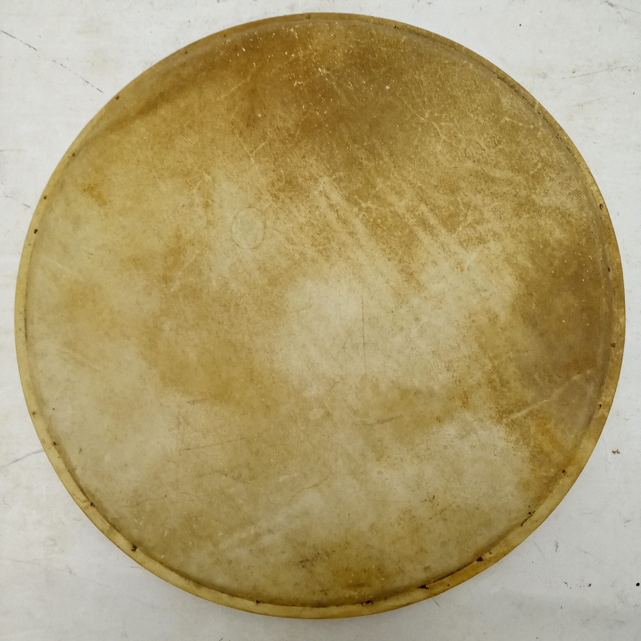 Ludwig & Ludwig 14" Calf Skin Snare Drum Batter Head Vintage 40s Floor Tom/Rack — main photograph