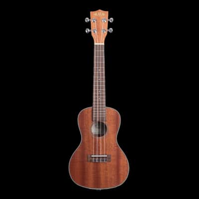 Kala KA-CG Mahogany Concert Gloss Ukulele image 1