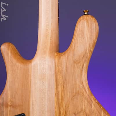 Immagine Spector USA SB-1 Reissue Limited Edition Rainbow Alder - 9