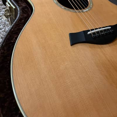 Taylor GS7 2006 - Natural image 9