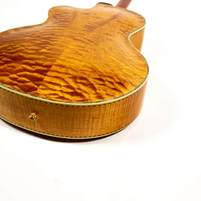 Triggs Acoustic Guitar Owned by Brian Setzer image 18