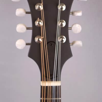 Eastman MD315 F-Style, F-hole Mandolin: Solid Sitka Top, Solid Maple back and sides. image 13