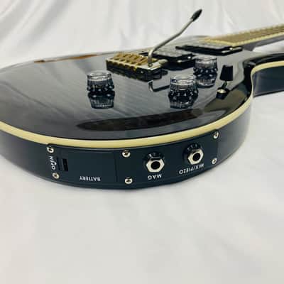 PRS SE Custom 24 Semi-Hollow Piezo image 11