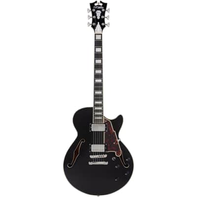 D'Angelico Premier SS Black Flake image 1