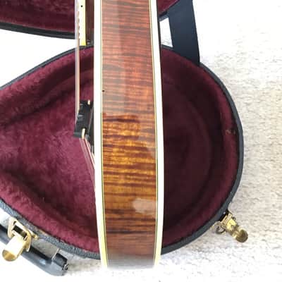 The Flatiron A5 Artist Mandolin Carlson Signed  1985 image 9