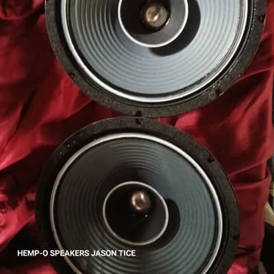12" FIELD COIL SPEAKERS WIDE RANGE PAIR ALL NEW OEM AMERICAN COMPONENTS PMR 30PAP-FC 2026 image 1