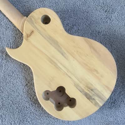 Harley Benton Single Cut Electric Guitar DIY Kit Project image 5
