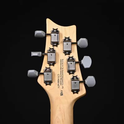 PRS SE Silver Sky John Mayer Signature Electric Guitar- Dandy Lion 2025  (CTIH061471) image 8