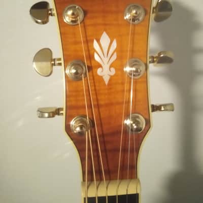 Ibanez AEG20II-VV Acoustic/Electric with TKL hard case image 3