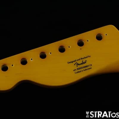 Fender Squier Classic Vibe 50s Telecaster NECK Tele Tinted Guitar *MN Maple image 6