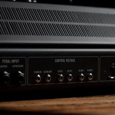 Moog Muse 8-Voice Polyphonic Analog Synthethizer image 5