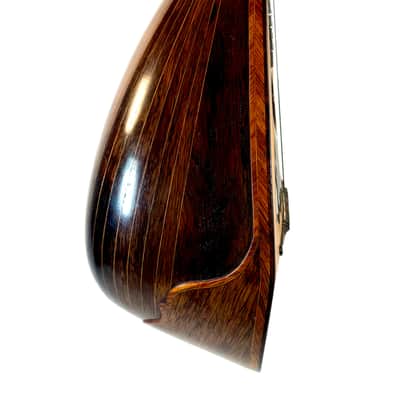 Gennaro & Achille Vinaccia Neapolitan Mandolin 1898 image 7